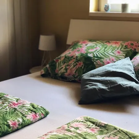 Stan Na Dan Stella Sombor